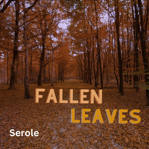 Fallen Leaves