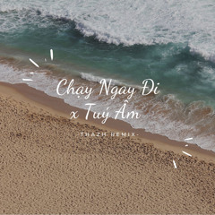 Chạy Ngay Đi x Tuý Âm (Đông ft Thazh Remix)