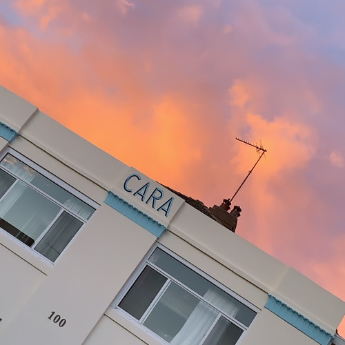 Sunset Vibes