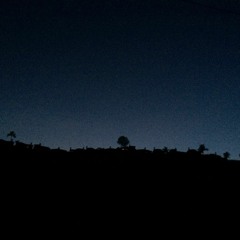 I've Been Here All My Life