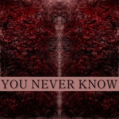 YOU NEVER KNOW (pre-production)
