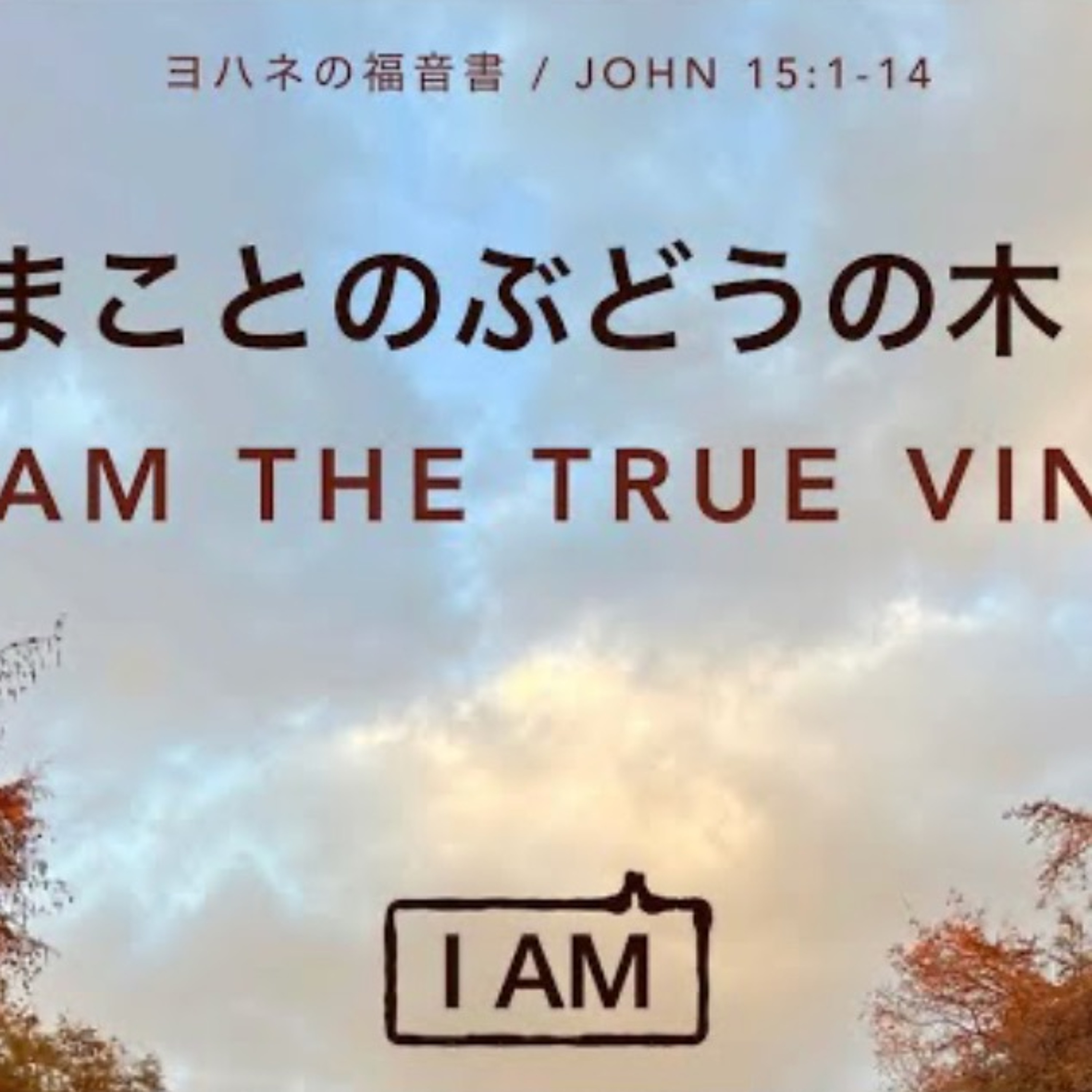 ヨハネの福音書 / JOHN 15:1-14 まことのぶどうの木 I Am the True Vine episode artwork