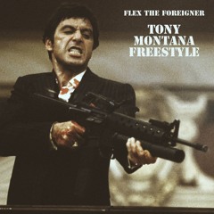 Tony Montana Freestyle [Prod. ZEL]