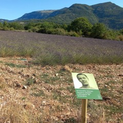 #62 (en) Nudging in Alpine tourism | speciAlps podcast