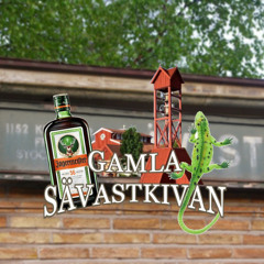 gamla sävastskivan