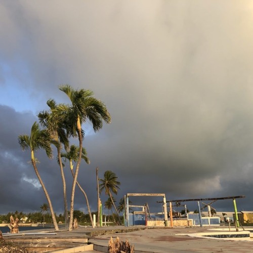 Where the Wind Blows