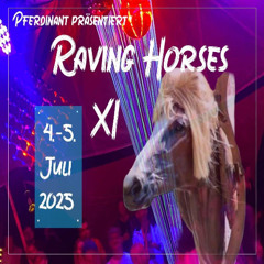 LIVE at Raving Horses XI (04.07.25)