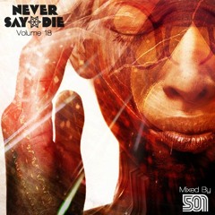 NSD MIX VOL 18 Never Say Die!