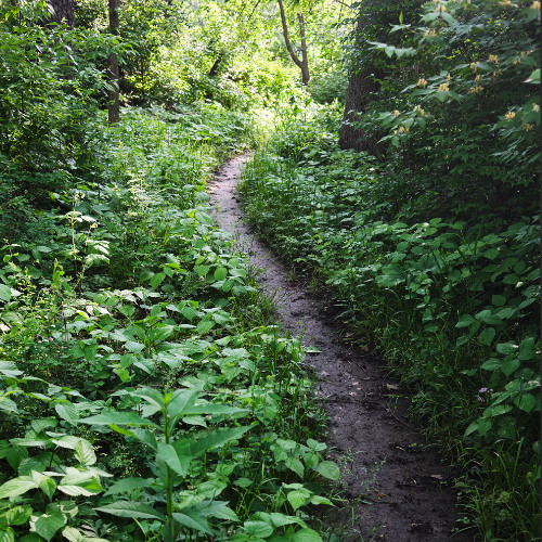 Synth Sound Bath - May 2025