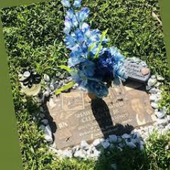 G40- war stories #slowwed