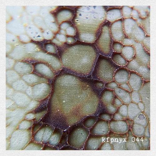 kfpnyx 044 by sam