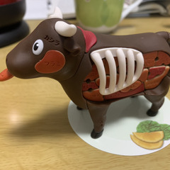 stranger 不思議ちゃん