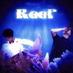 Reef