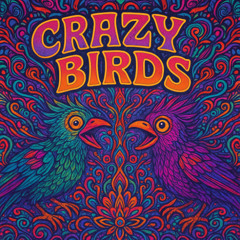 Crazy Birds (145Bpmversion)