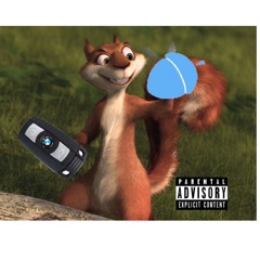 Blue Acorn Freestyle