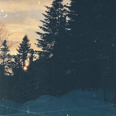 Much Chaos, Some Pines - 2025.03.01