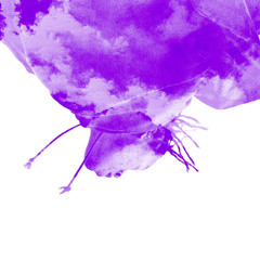 Don Toliver - 2 Lil Shorty (chopped & screwed)