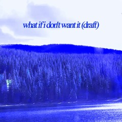 what if i don't want it (draft)