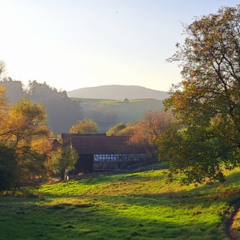 Dawn Chorus Easter Monday 2025