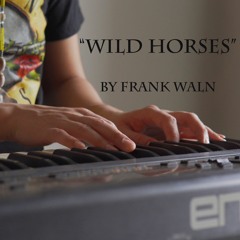 "Wild Horses" *The Rolling Stones Cover