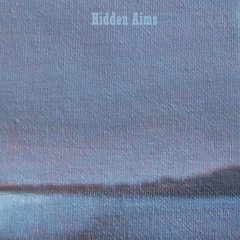 Glyn Hyde - Hidden Aims 2024
