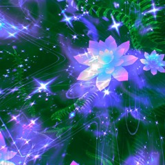 bloom w/ offpace