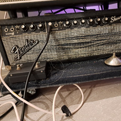 Fender - BF + tremelo + FX + drive +wah