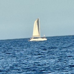 Ningún_Mortal_ Podrá_Narrar-Himno 196 🌹🎻🎶 No_Mortal_ Tongue_ Can_E’er_Describe-Hymn 473 🌹🎻🎶