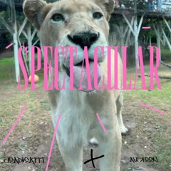SPECTACULAR  - FT(dEADbEATTT)
