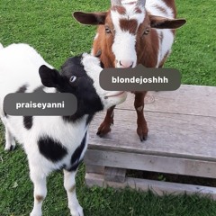 iyagi - #goatshhhit
