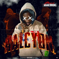 Bankroll RaeDoe - Halcyon [Thizzler Exclusive]