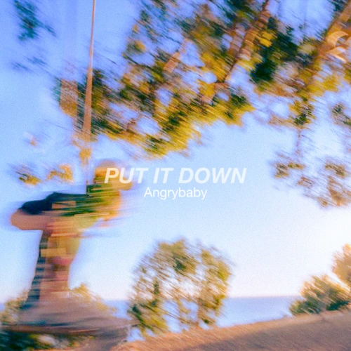 Artwork for the song Angrybaby - PUT IT DOWN by Angrybaby on Next Sound