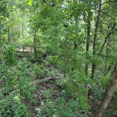 Backing Track Challenge 511.wav