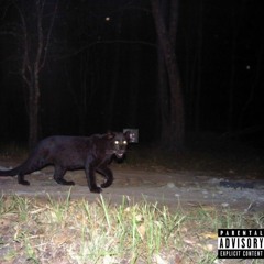 Trapped in the Aquarium Intro