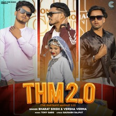 THM 2.0 (The Haryanvi Mashup 2.0)