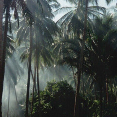 tropical samples @5peace_