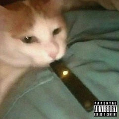 Fuji Summers - Shooting star (prod. Curtains)