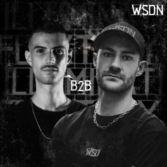 FLEXTASY B2B ILLUMINATI / WSDN / 02.11