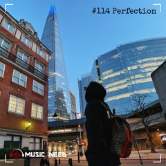 #114 Perfection