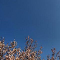 Work This Out (Feat.고요)