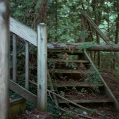 Ascent from the Necropolis