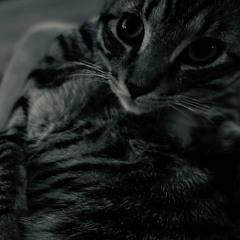 OKER - Techno doodle Mix