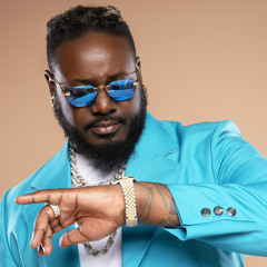 T - Pain Im In Luv Wit A Stripper Vs SWV Rain Ft Lil Wayne Mashup