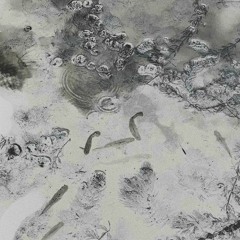 2.ORBE NACIMIENTO - Modelo A Seguir(Safety Trance X Florentino Remix)