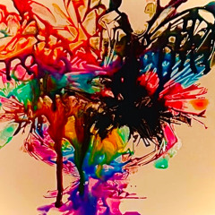 Violence belongs to the Animal Kingdom. Are you an animal, then?