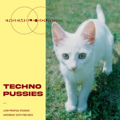 Techno Pussies - Low Profile Studios - 25th Feb 2023
