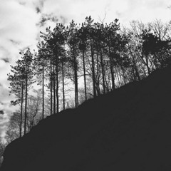 The Dark Valleys