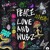 Artwork for LSDREAM feat. CoJaxx - PEACE LOVE & WUBZ