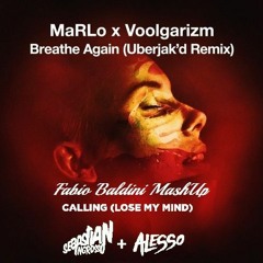 Marlo x Voolgarizm vs Seb Ingrosso & Alesso - Calling Again (Copyright Filter)