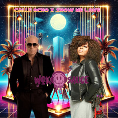Calle Ocho X Show Me Love (KNOLLR 2025 Edit)